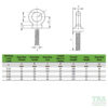 Long Shank Dynamo Eyebolt - Image 3
